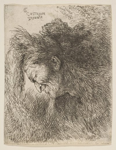 Hoofd van een oude man die naar beneden kijkt, naar links, uit de serie Kleine Hoofden, ca. 1645-1650 door Giovanni Benedetto Castiglione