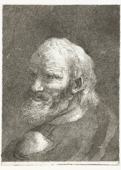 Man met ontblote schouder door Giovanni Domenico Tiepolo