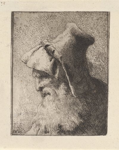 Profiel van een Oudere Man met een Baard, uit de Raccolta di Teste (Collectie van Hoofden) door Giovanni Domenico Tiepolo