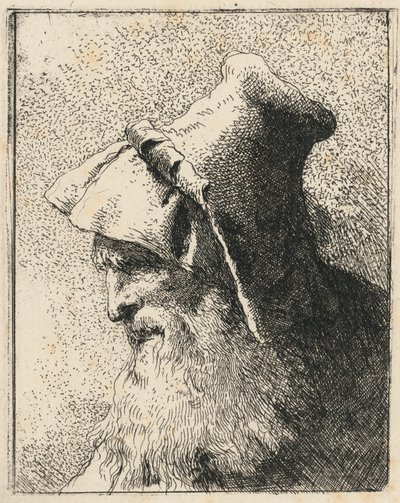 Profiel van een oude man met een baard door Giovanni Domenico Tiepolo