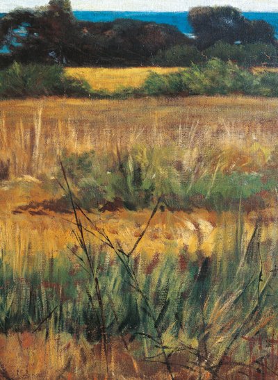 Maremma Toscana, circa 1894 (detail) door Giovanni Fattori