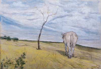 Wit Paard door Giovanni Fattori