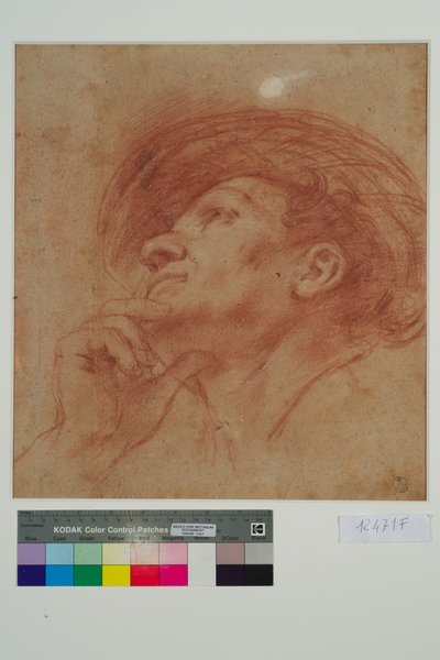 Studie voor het Hoofd van de Profeet Haggai door Giovanni Francesco Barbieri