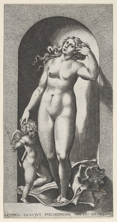 Venus in een nis, staand op een schelp, met Cupido aan haar rechterkant, uit een serie, 1526 door Giovanni Jacopo Caraglio