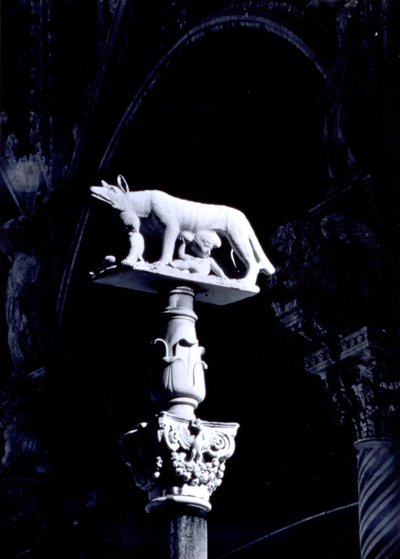 De Sienese Wolf, met de tweeling Romulus en Remus, gevel van de Piazza del Duomo door Giovanni Pisano