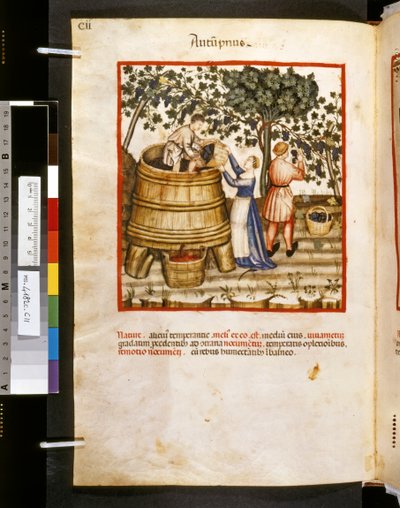 Theatrum sanitatis door Ububchasym de Baldach: 