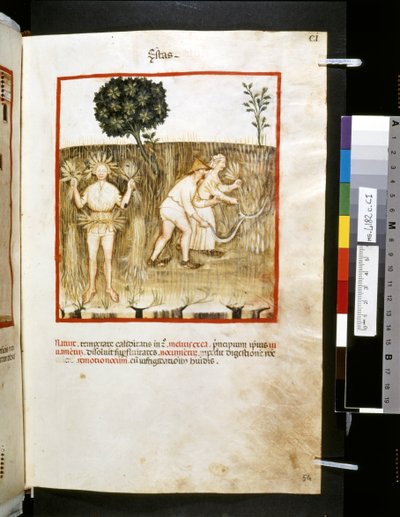 Theatrum sanitatis door Ububchasym de Baldach: 