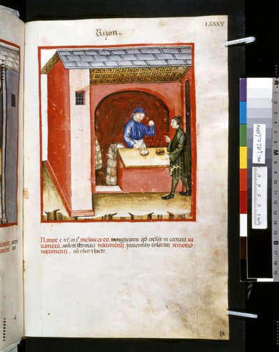 Theatrum sanitatis door Ububchasym de Baldach: 