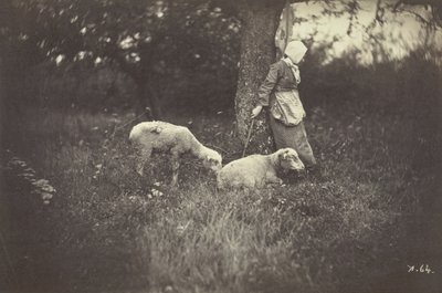 Herderin Leunend Tegen een Boom, met Twee Schapen, 1870 door Giraudon