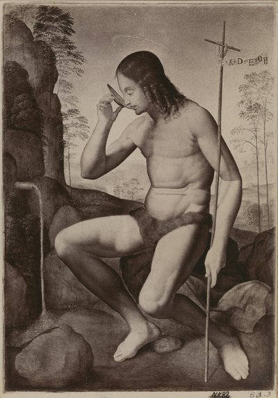Johannes de Doper in de woestijn door Giuliano Bugiardini
