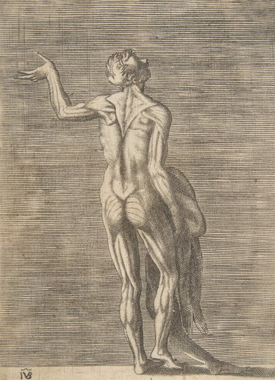 Gevilde man met linkerhand op heup, huid in rechterhand, ca. 1531-76 door Giulio Bonasone