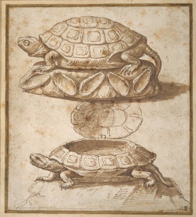 Ontwerp voor een doos met deksel in de vorm van een schildpad, open en gesloten getoond door Giulio Romano