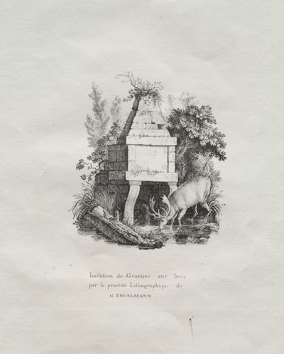 Receuil dessais lithographiques: Een fontein die houtsnede imiteert, ca. 1816 door Gottfried or Godefroy Engelmann