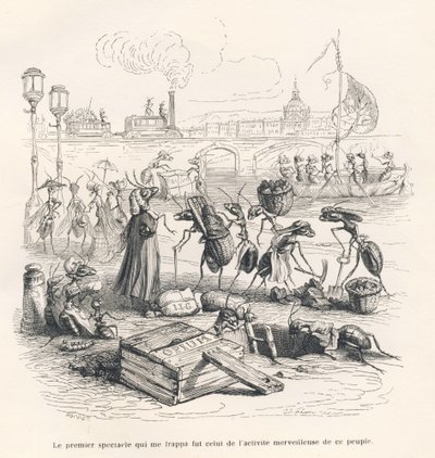 Mieren druk bezig aan de oevers van de Seine. Geïllustreerde vignetten door JJ Granville. Gravure gesigneerd door Porret in het deel getiteld "Reis van een mus uit Parijs" geschreven door George Sand in "Scènes uit het privé- en openbare leven van dieren". door Grandville