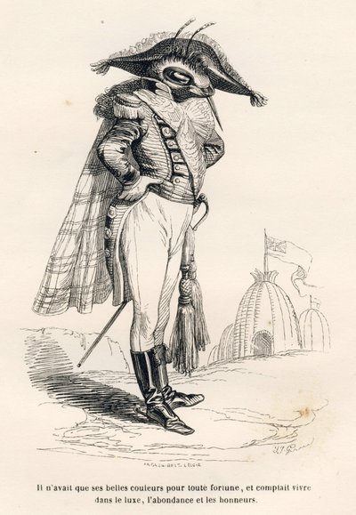 Hij had alleen zijn mooie kleuren als enige fortuin en rekende erop in luxe, overvloed en eer te leven. Vignetten geïllustreerd door JJ Granville. Gravure gesigneerd Andrew, Best en Leloir in het deel "Reis van een mus uit Parijs" geschreven door door Grandville