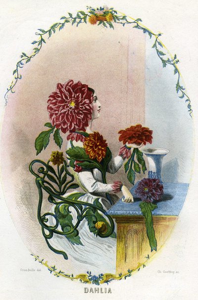 Illustratie voor 