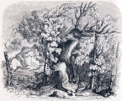 Het hert en de wijnstok - Fabels van La Fontaine door Grandville