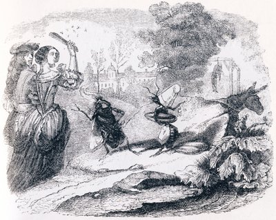 De vlieg en de mier (La mouche et la fourmi) - Fabels van La Fontaine door Grandville
