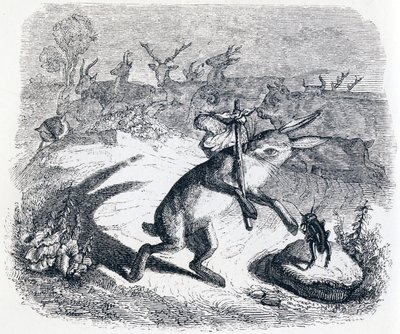 De oren van de haas (Les oreilles du lievre) - Fabels van La Fontaine door Grandville