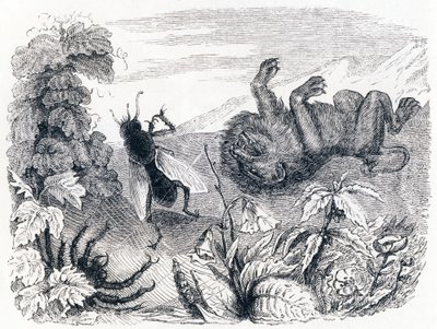 De leeuw en de mist - Fabels van La Fontaine door Grandville