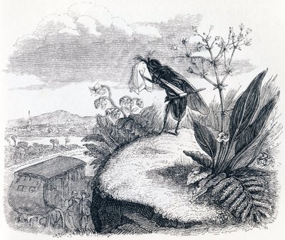 De teek en de vlieg - Fabels van La Fontaine door Grandville