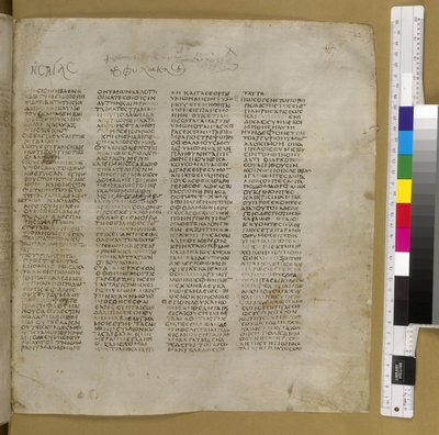 Codex Sinaiticus (perkament) door Greek School
