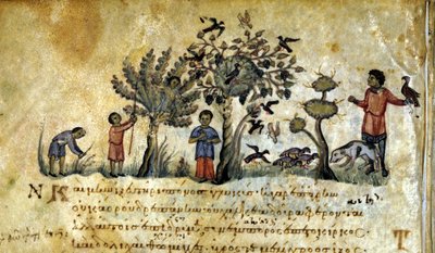Jacht met de valk en het vangen van vogelnesten. Grieks manuscript van Oppianus De Venatione 13e eeuw door Greek School