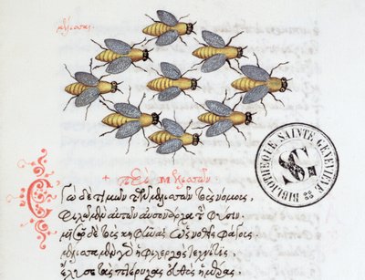 Bijen, uit een Bestiarium door Manuel Philes, 1566 door Greek School