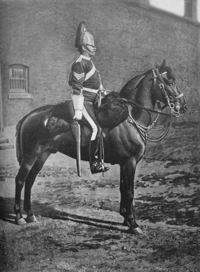 Sergeant, 2nd Dragoon Guards Queens Bays, ca. 1880 door Gregory and Co