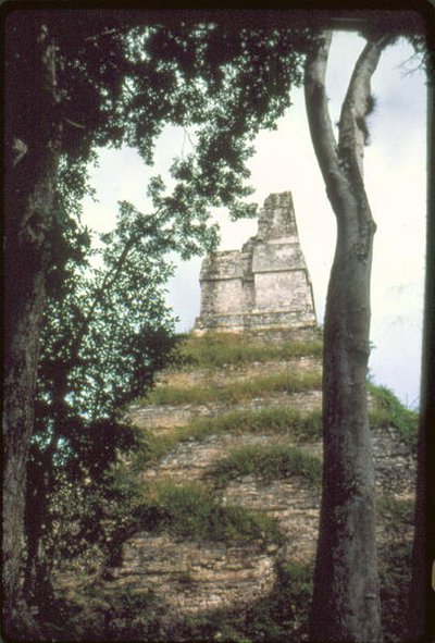 Tempel van de Inscripties, c. 700 n.Chr. door Guatemalan School