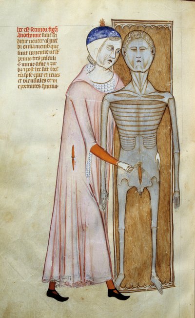 Geneeskunde: anatomie en chirurgisch bord dat een dissectiescène voorstelt. Pagina uit het manuscript 