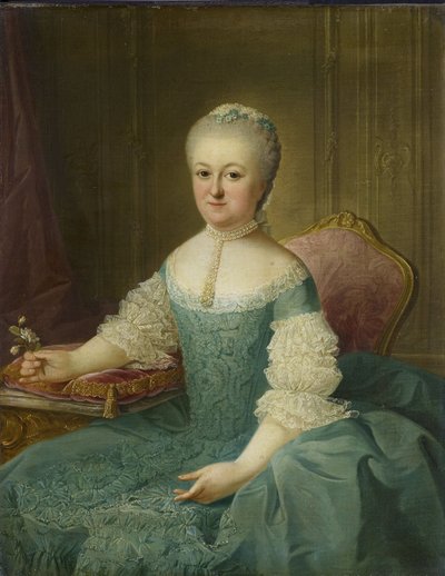 Portret van een dame uit de familie van de Poll door Guillaume de Spinny
