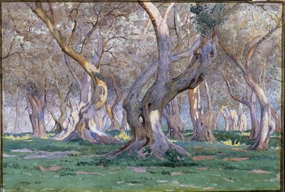 Eikenbos door Gunnar Widforss