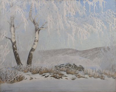 Witte vorst in zonneschijn door Gustaf Fjæstad