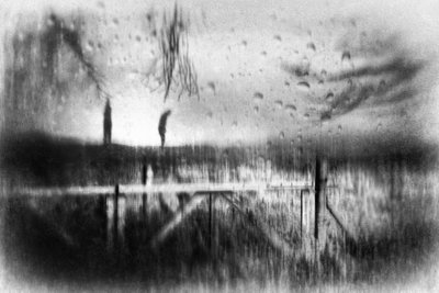  door Gustav Davidsson