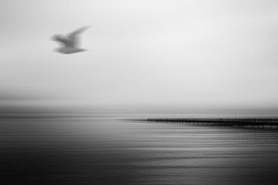  door Gustav Davidsson