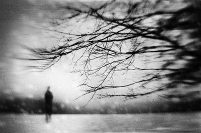  door Gustav Davidsson