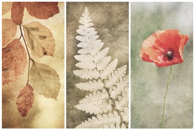 Vintage Nature Trio door Gustav Davidsson