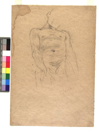 Männlicher Torso door Gustav Klimt