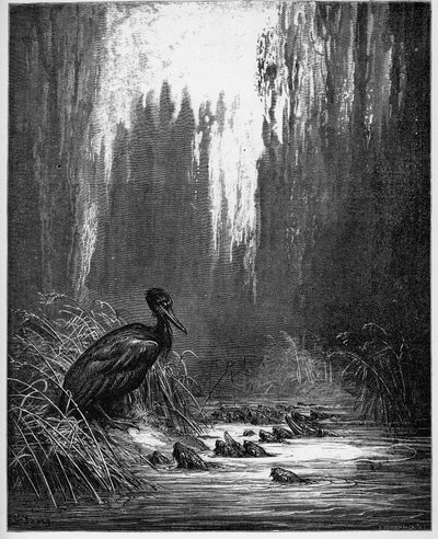 De vis en de aalscholver - uit 