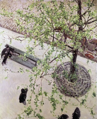 Boulevard gezien van boven, 1880 door Gustave Caillebotte