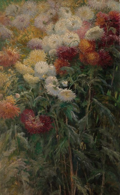 Chrysanten in de tuin van Petit-Gennevilliers door Gustave Caillebotte