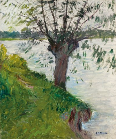 Wilg aan de rivier; Saule au bord de la rivière, c. 1891 door Gustave Caillebotte