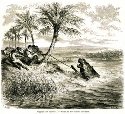 Jacht op de rivier Teoghe, zijrivier van de Ngami. Nijlpaard harpoen. Gravure door Gustave Doré ter illustratie van de avonturen en jacht van reiziger Charles-Jean Anderson in Zuid-Afrika, gepubliceerd in het tijdschrift Le tour du monde, een nieuw tijdsch door Gustave Dore