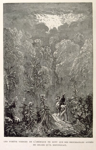 Illustratie van Amerikaans bos. uit La légende de Croque-Mitaine. door Gustave Dore