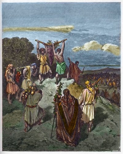 Terugkeer uit het land Kanaän - De terugkeer van Jozua en Kaleb met een enorme druiventros uit het land Kanaän (Beloofde Land) - gravure in De geïllustreerde Bijbel door Gustave Doré (1832-1883) - Gravure uit De Doré Bijbel door Gustave Dore