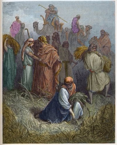 Ruth en Boaz - Ruth werkend in de velden van Boaz - gravure in De geïllustreerde Bijbel door Gustave Doré (1832-1883) - Gravure uit De Doré Bijbel door Gustave Dore