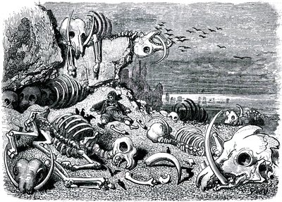 Sindbad de zeeman (Sinbad) - verhaal van de duizend en één (1001) nachten - illustratie door Gustave Dore - editie Maxwell 1865 - Zevende en laatste reis: de begraafplaats van de olifanten waar Sindbad de ivoren slagtanden zal terugvinden door Gustave Dore