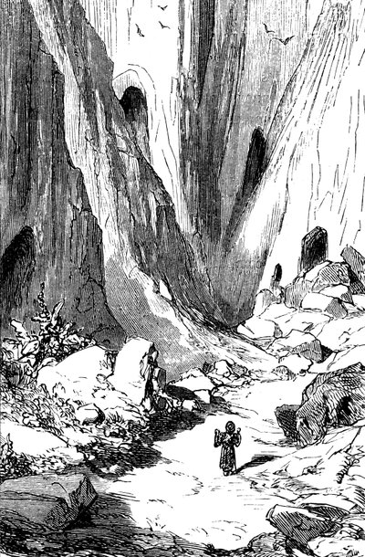 Sindbad de zeeman - verhaal van de duizend-en-een-nacht - illustratie door Gustave Doré - editie Maxwell 1865 - Tweede reis: Sindbad ontdekt een vallei met diamanten, maar die helaas wordt bewoond door gigantische slangen. Hij zal toevlucht zoeken door Gustave Dore