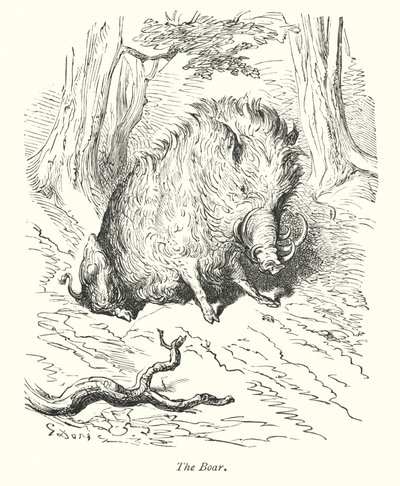Het zwijn (gravure) door Gustave Dore